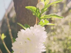 -金逸影城(中关村店)