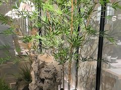 -绿茶餐厅(青岛城阳万象汇店)