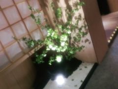 -蜜桃餐厅·伴山(湖滨商业街店)