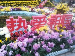 -西北湖绿化广场
