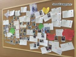 -上海首尔丽格医疗美容医院
