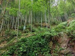 -南漈山