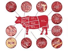 -蔡社牛肉城(龙湖店)