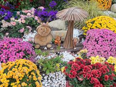 -上海共青森林公园