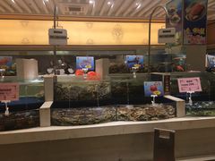 -海景壹号大酒店(滨湖店)