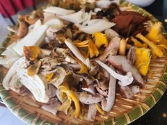 -草墩罗非鱼庄•野生菌•腊排骨(七星街上段店)