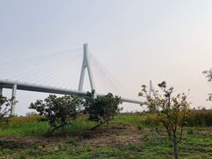 -芒洲湿地公园