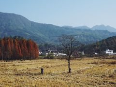 -塔川景区