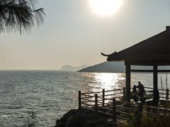 -广东惠东海龟国家级自然保护区