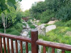 -莲花池公园