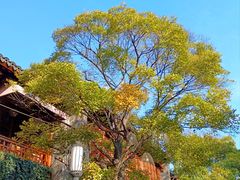 -老门东历史文化街区