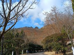 -石老人观光园