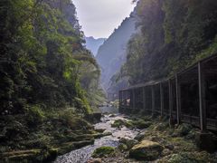 -三峡人家风景区