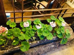 -吃货私房菜(丽江束河古镇店)