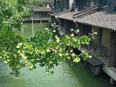 -乌镇景区