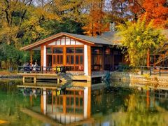 -上海共青森林公园