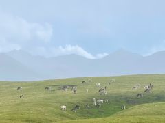 -新疆那拉提国家旅游度假区