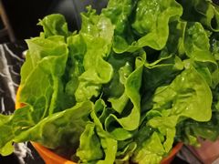 -古乐牛香·鲜牛肉牛杂火锅(五一中路店)