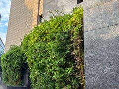 -成都金河宾馆(宽窄巷子店)