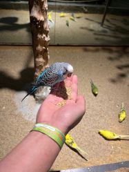 -酷嗒动物文化乐园(cutezoo西溪乐天城店)