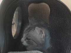 -美联众合动物医院·24h京西诊疗中心
