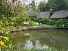 -大象粑粑造纸公园