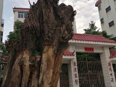 -高记惠州风味楼(惠城店)