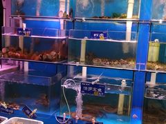 水产区-粥全粥到海鲜家常菜·海肠捞饭(嫩江路店)