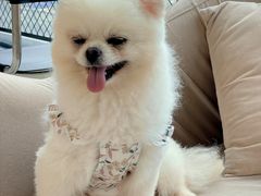 -怪兽屋·羊驼·猫咖·狗咖(俊华广场店)