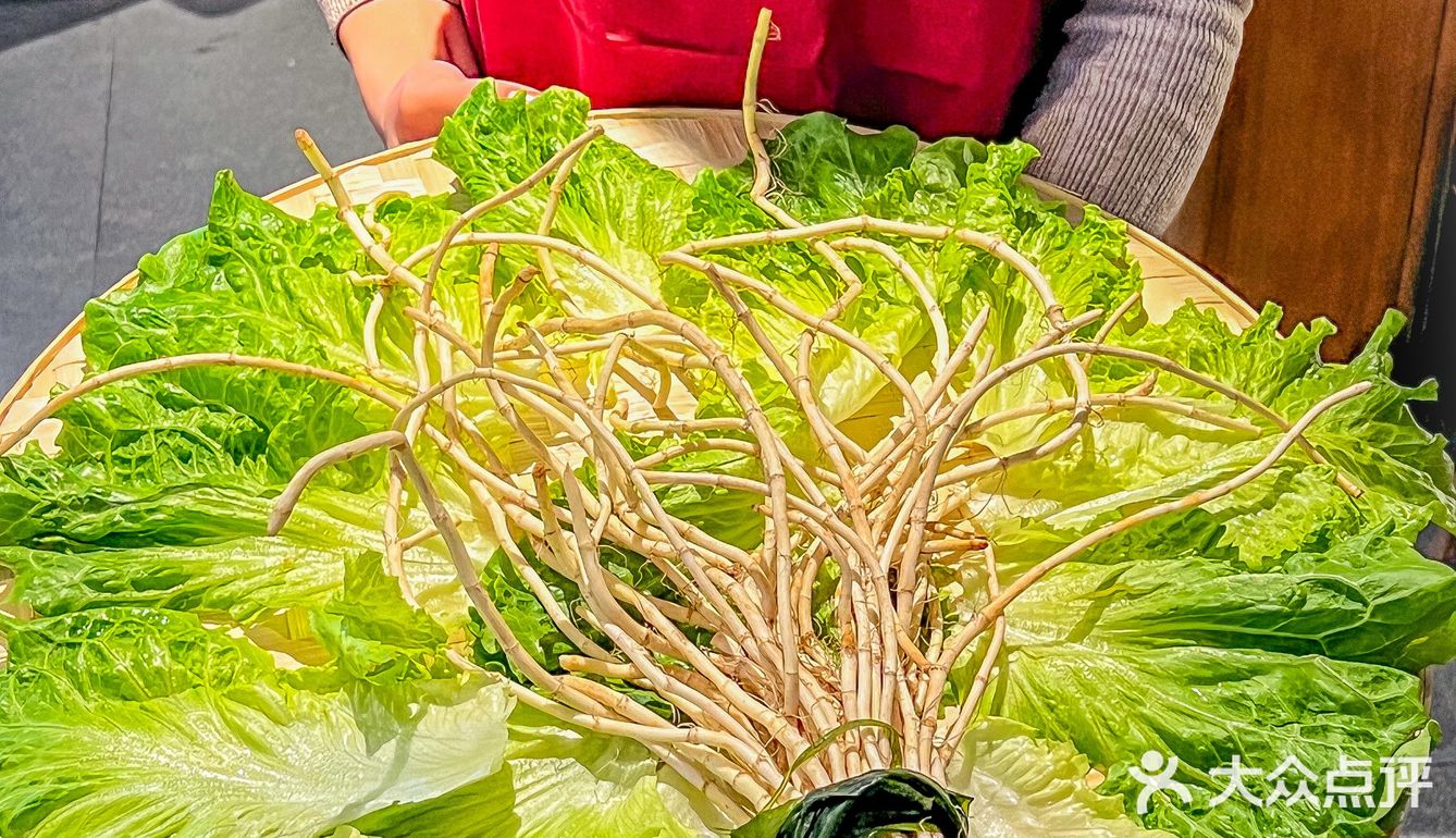 离开上海之前一定要去一次！！?