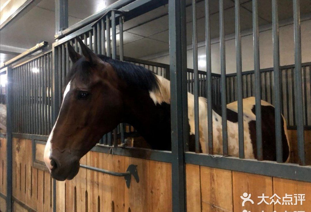带娃骑马-骑域国际马术🏇🏻俱乐部