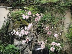 -宏村-南湖书院