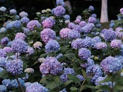 -常州古运河南大街文化旅游区-人民公园