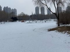 -群力丁香公园