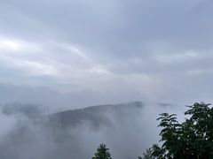 -铁山坪森林公园