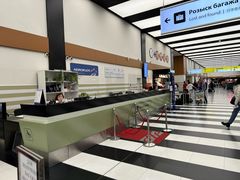 -谢列梅捷沃国际机场