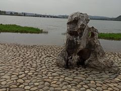 -东湖落雁景区