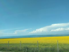 -青海湖国家重点风景名胜区