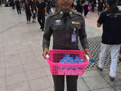 -皇家田广场(อนุสาวรีย์ทหารอาสา)