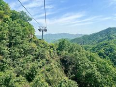 -栾川竹海野生动物园