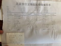 -北京佳信宠物医院