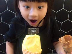 -野人先生现做冰淇淋(北京顺义祥云小镇店)