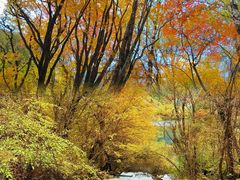 -叠溪松坪沟景区