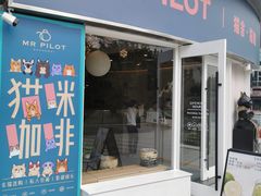 门面-飞行喵MR PILOT|猫舍·猫咖(静安大融城店)