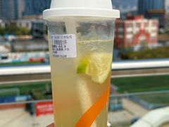 青梅泡泡-CoCo都可(金狮店)