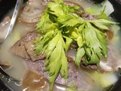-望京一号(菜户营店)