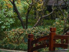 -中国茶叶博物馆(双峰馆区)