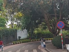 -仙岳公园
