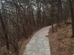 -西尖山公园