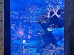 -海合安武汉极地海洋公园